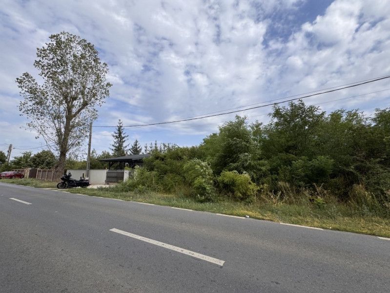 Teren 1.666 mp, construibil, cu acces direct din DN1 – lângă pădurea Snagov