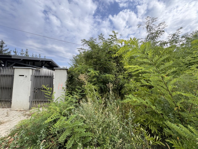 Teren 1.666 mp, construibil, cu acces direct din DN1 – lângă pădurea Snagov