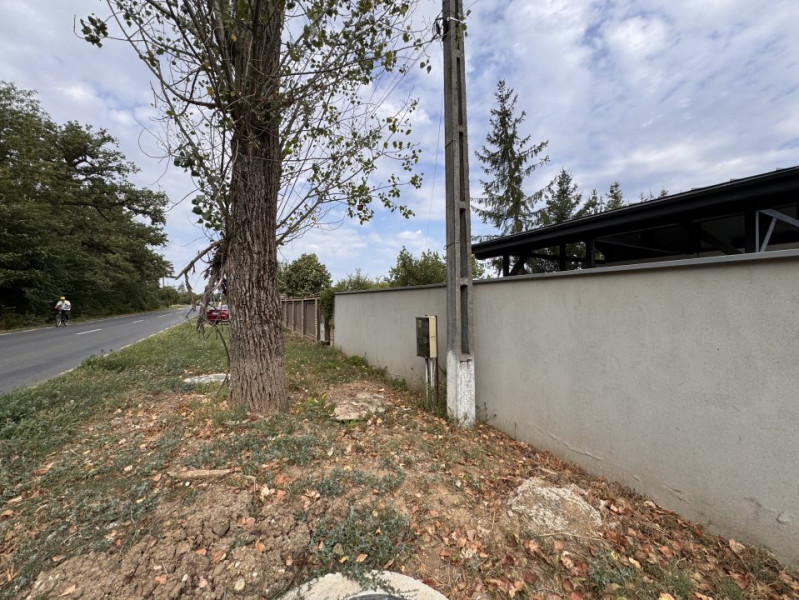 Teren 1.666 mp, construibil, cu acces direct din DN1 – lângă pădurea Snagov