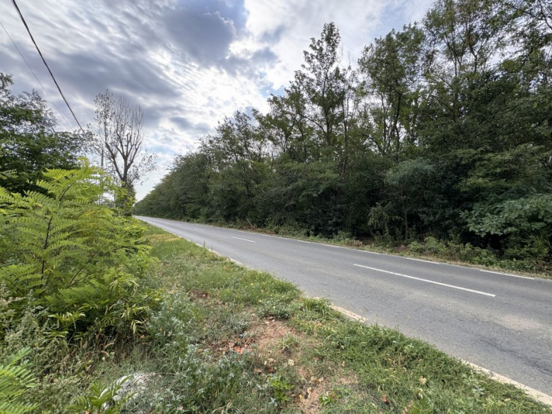 Teren 1.666 mp, construibil, cu acces direct din DN1 – lângă pădurea Snagov