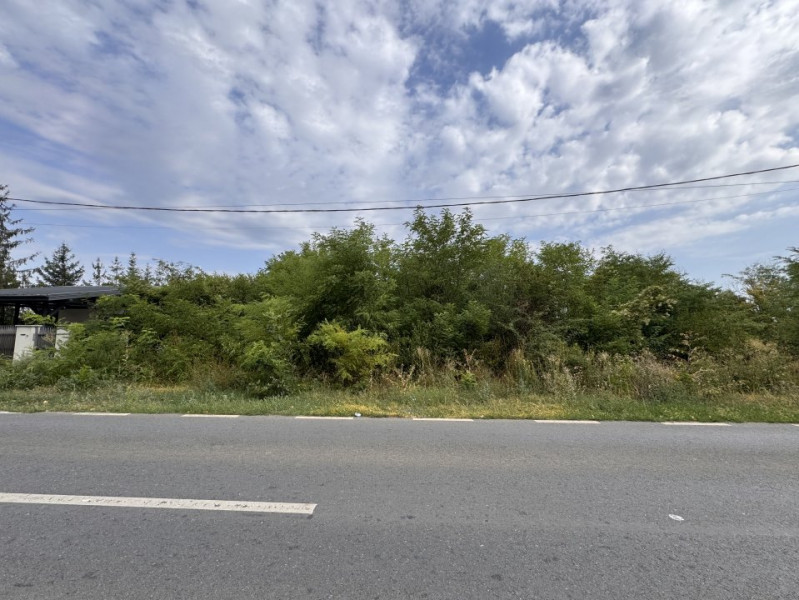 Teren 1.666 mp, construibil, cu acces direct din DN1 – lângă pădurea Snagov
