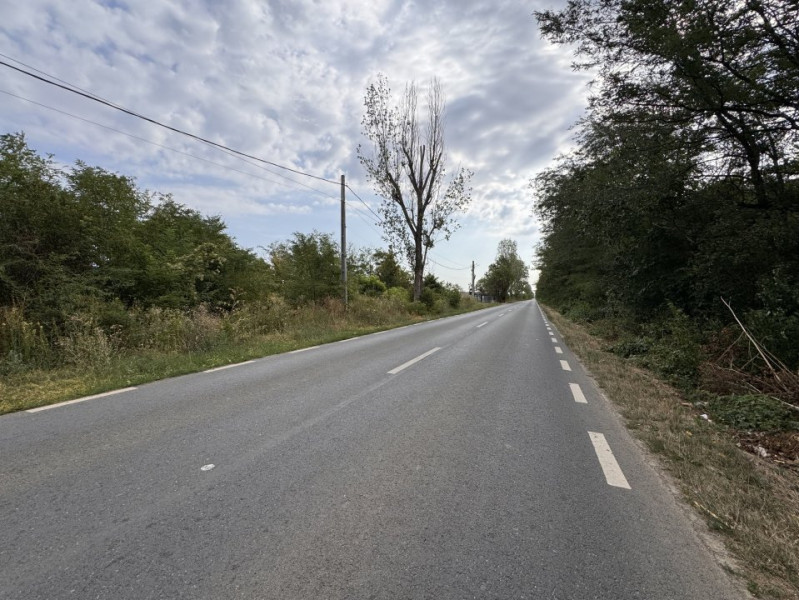 Teren 1.666 mp, construibil, cu acces direct din DN1 – lângă pădurea Snagov