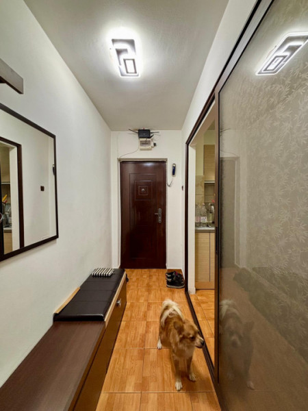 Sos. Pantelimon | Delfinului | Mobilat