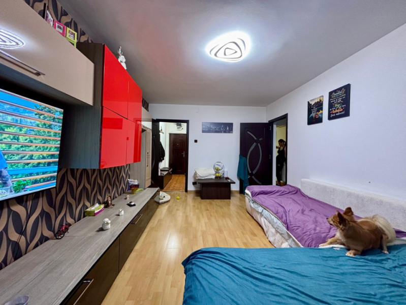 Sos. Pantelimon | Delfinului | Mobilat